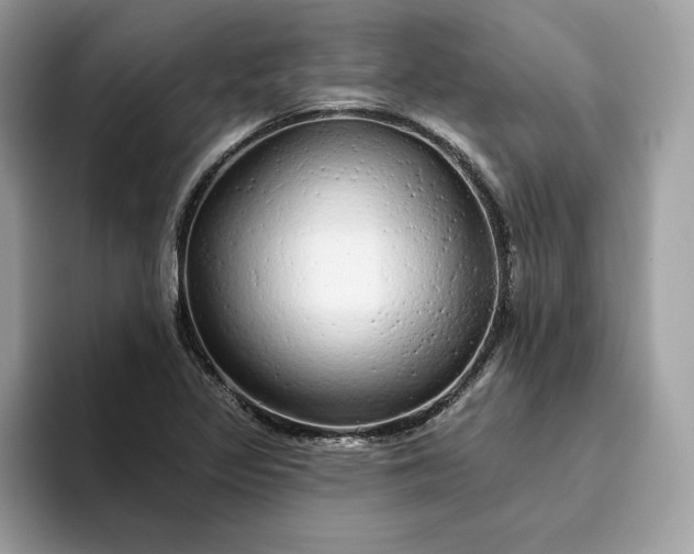 X0000094771317200711301518