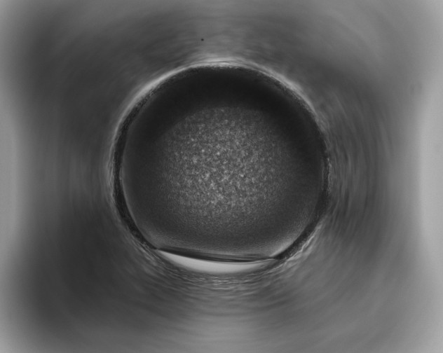 X0000094771319200711301518