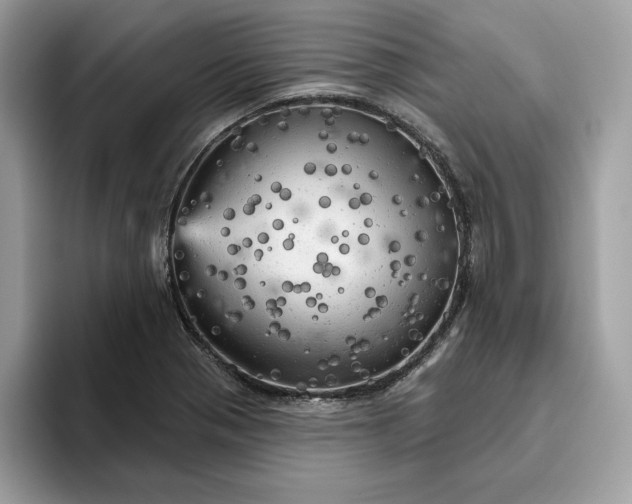 X0000094771321200711301518