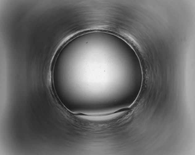 X0000094771324200711301518