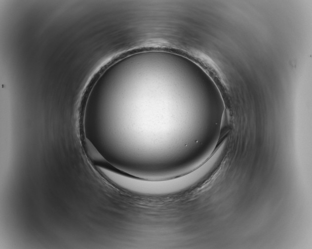 X0000094771326200711301518