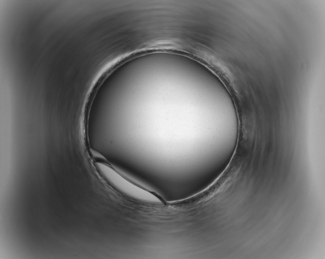 X0000094771328200711301518