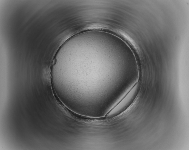 X0000094771329200711301518