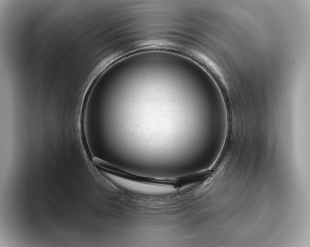 X0000094771330200711301518