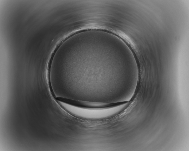 X0000094771334200711301518