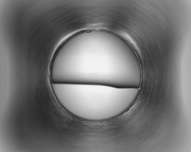 X0000094771336200711301518