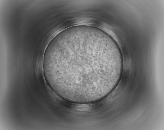 X0000094771338200711301518