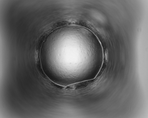 X0000094771347200711301518