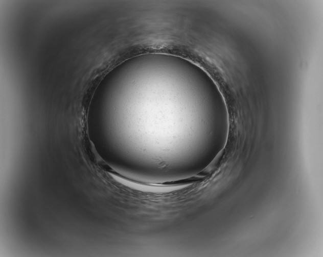 X0000094771349200711301518