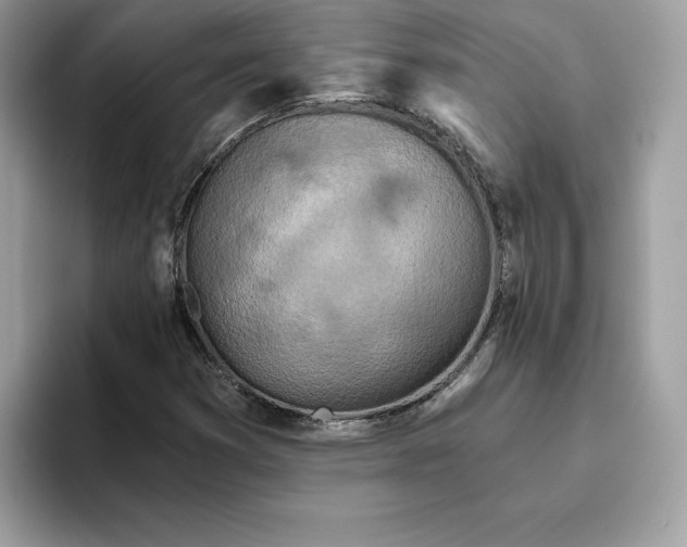 X0000094771353200711301518