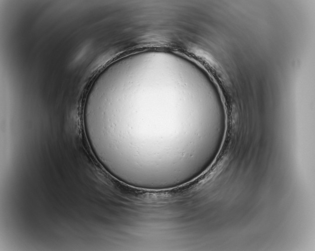 X0000094771354200711301518