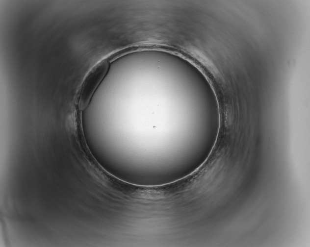 X0000094771356200711301518