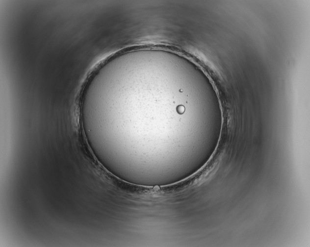 X0000094771358200711301518