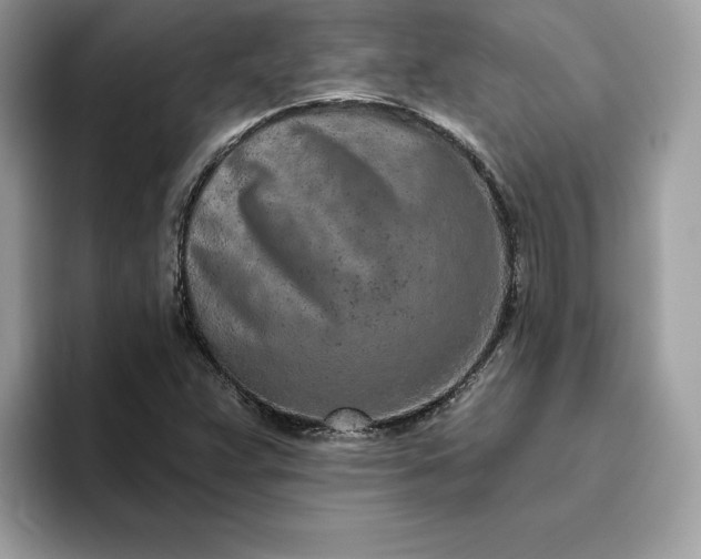 X0000094771359200711301518