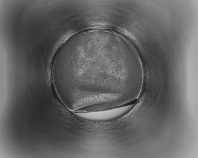 X0000094771362200711301517