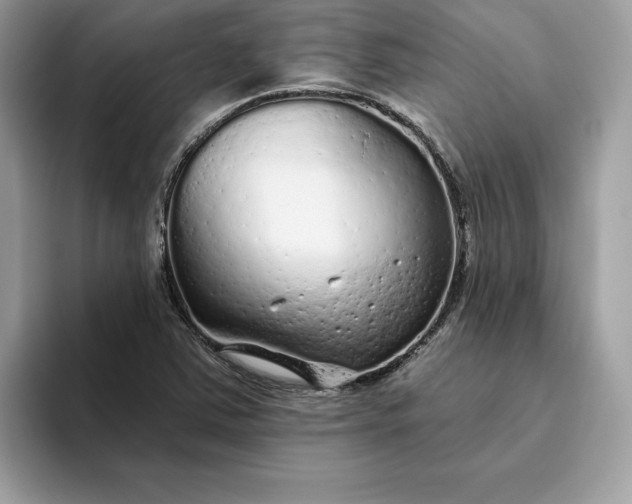 X0000094771363200711301517