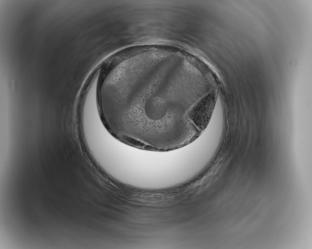 X0000094771364200711301517