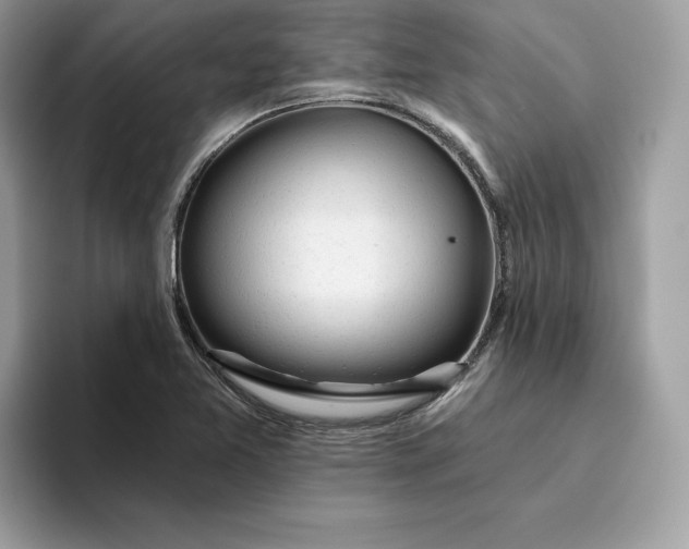 X0000094771365200711301517