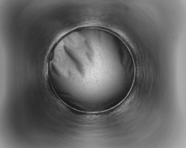 X0000094771366200711301517