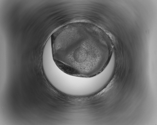 X0000094771369200711301517