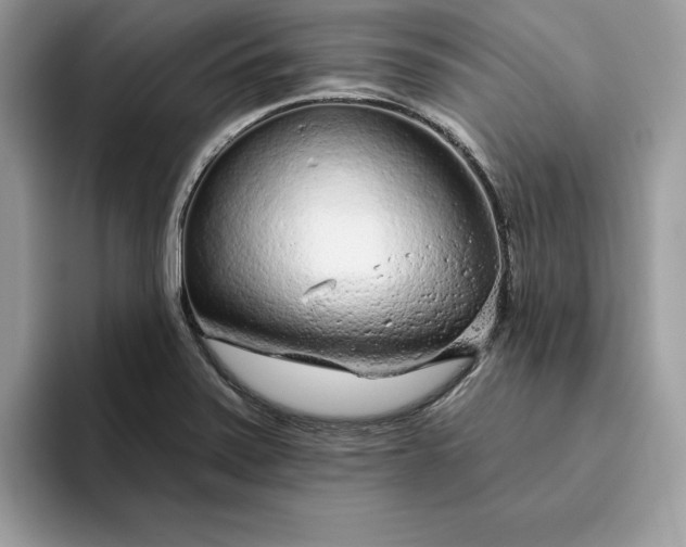 X0000094771371200711301517