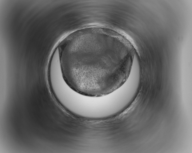 X0000094771373200711301517