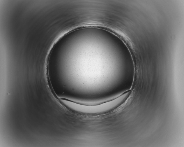 X0000094771374200711301517