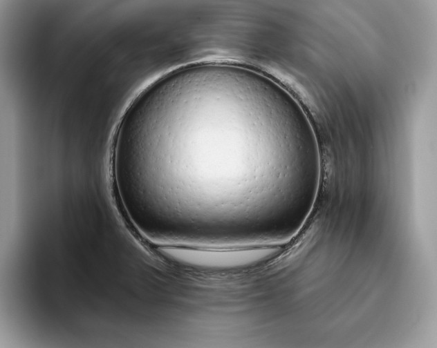 X0000094771375200711301517