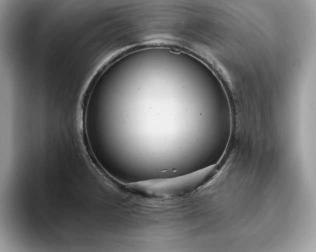 X0000094771376200711301517