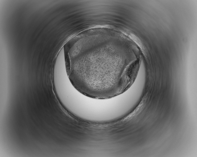 X0000094771377200711301517