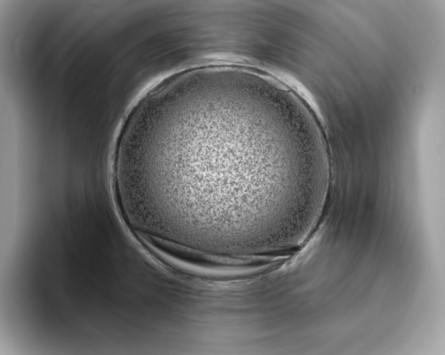 X0000094771381200711301517