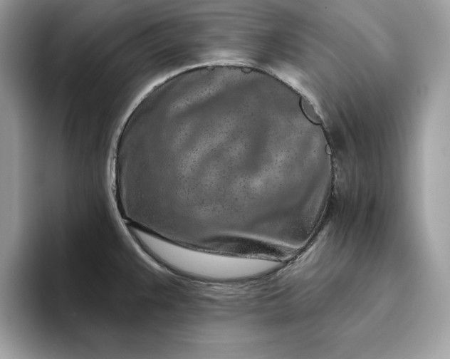 X0000094771383200711301517