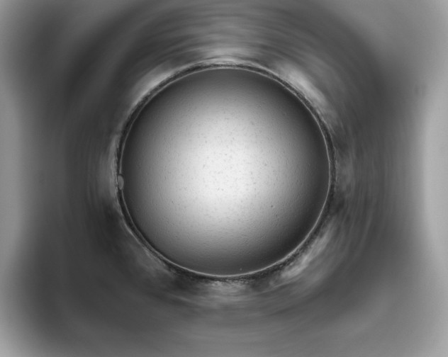 X0000094771384200711301517