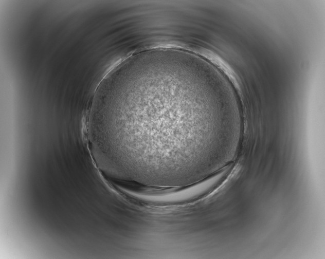 X0000094771385200711301517