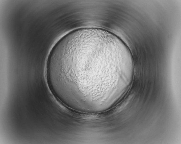 X0000094771387200711301517