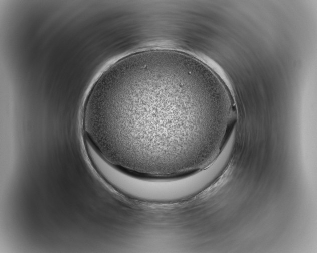 X0000094771389200711301517