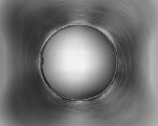 X0000094771390200711301517