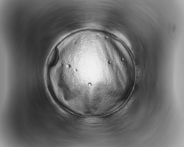 X0000094771391200711301517