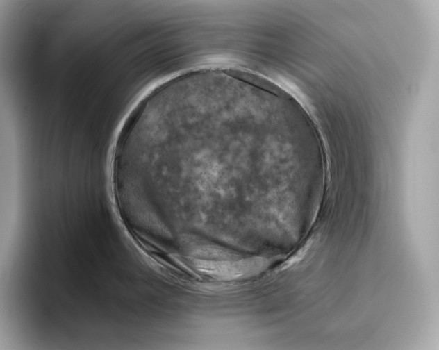 X0000094771392200711301517