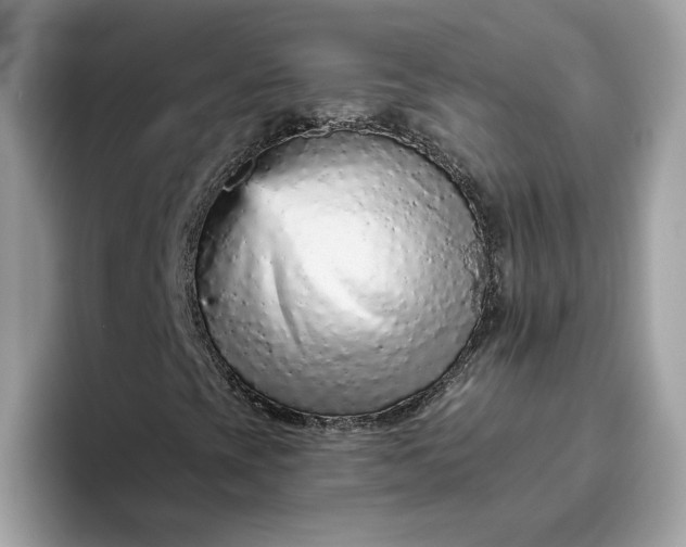 X0000094771393200711301516