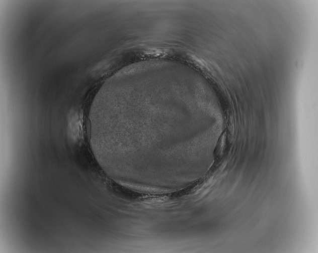 X0000094771394200711301516