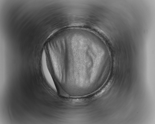 X0000094771401200711301517