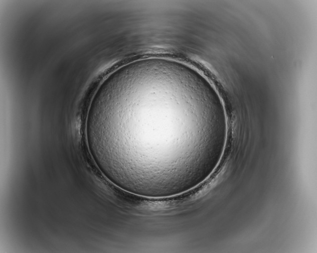 X0000094771402200711301517