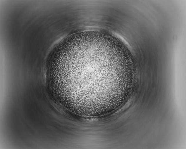 X0000094771403200711301517