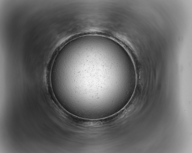 X0000094771404200711301517