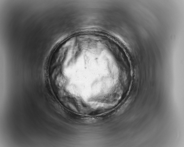 X0000094771405200711301517