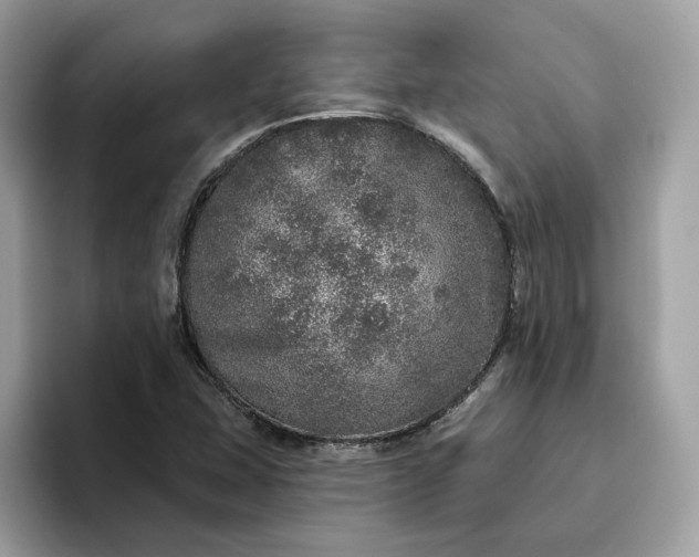 X0000094771407200711301517