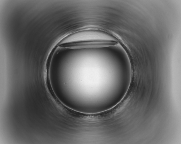 X0000094771418200711301517