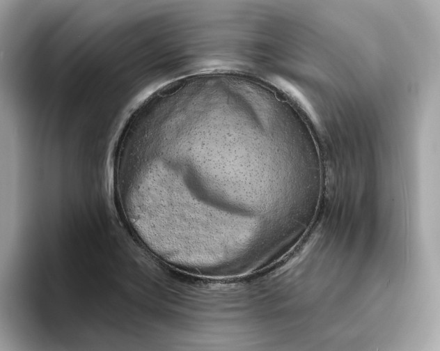 X0000094771419200711301517