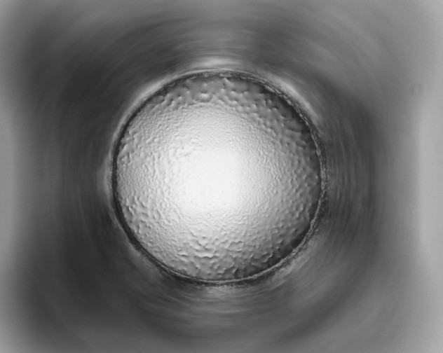 X0000094771421200711301517